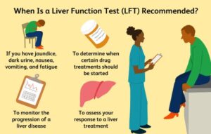 Liver enzyme blood test ALT AST illustration